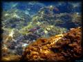 DSC02483 - retouche 3